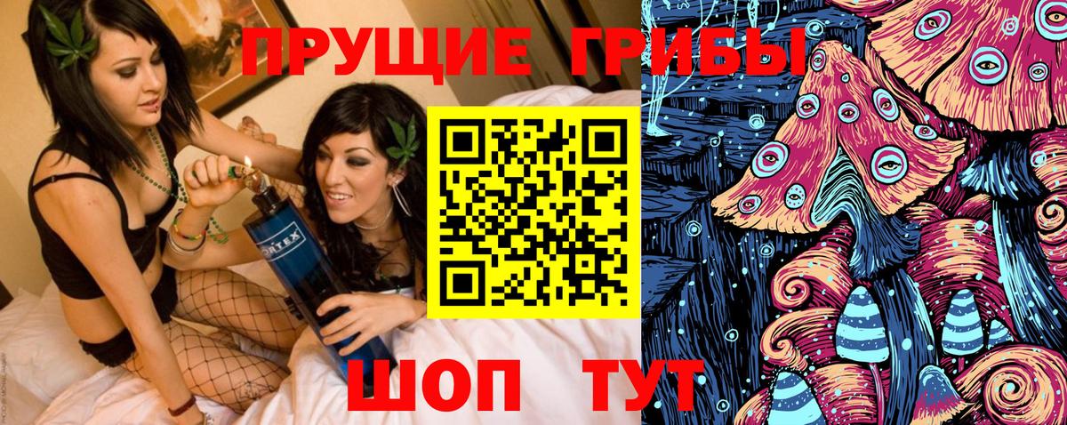 Кизляр  Галлюциногенные грибы GOLDEN TEACHER  где купить наркоту  Вход с VPN 
